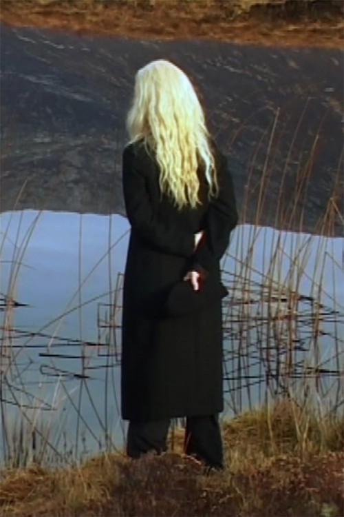 The Irreducible Difference of the Other Poster