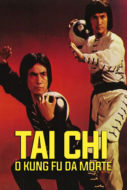 Tai Chi Shadow Boxing Poster