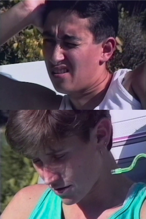 Mister Sisters Poster