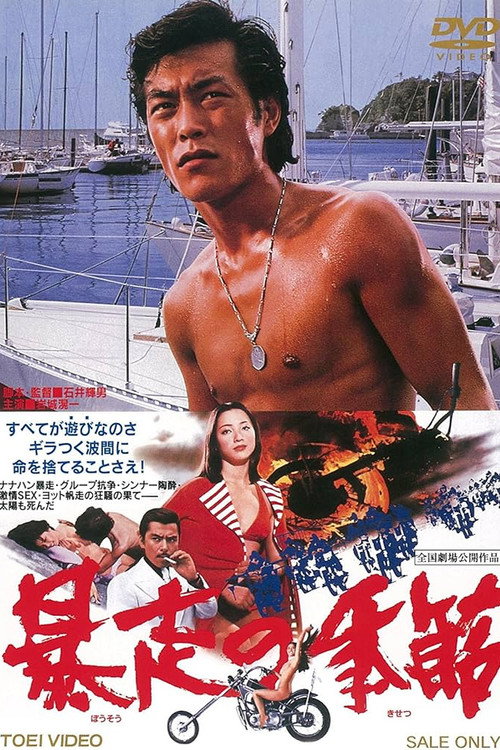 The Runaway Season Poster