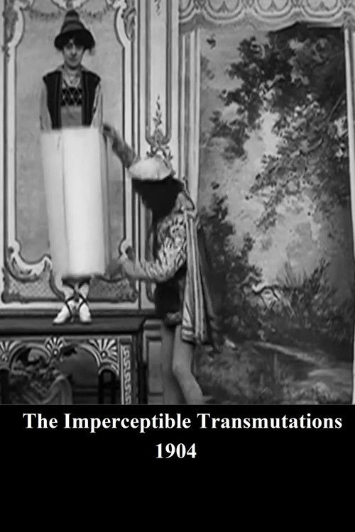 The Imperceptible Transmutations Poster