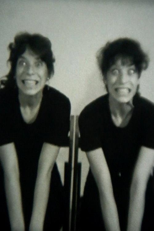 Relative Similarities Poster