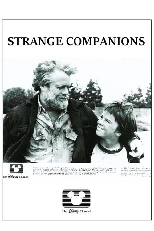 Strange Companions Poster
