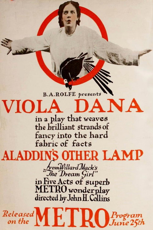 Aladdin's Other Lamp Poster
