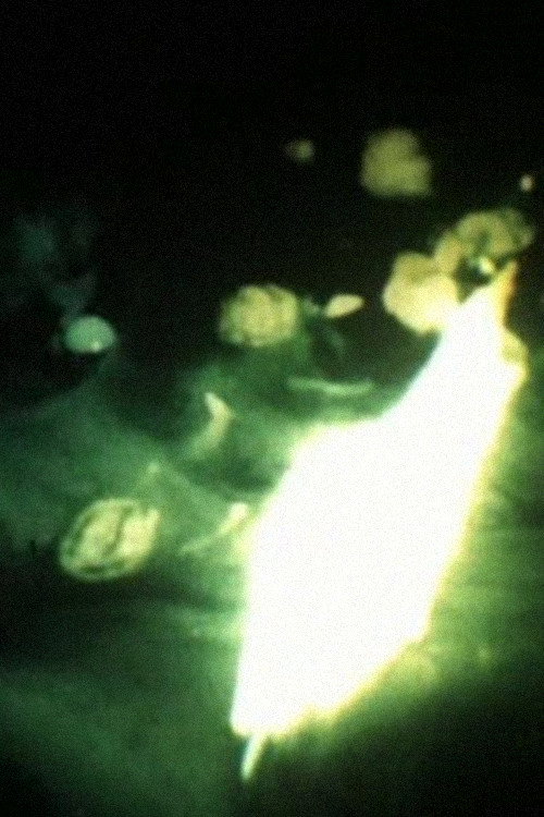 Bermuda Triangle Poster