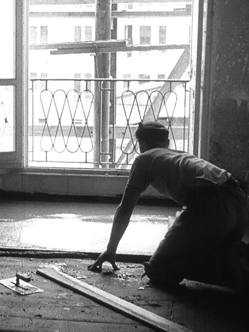 Der Elefant von Hoyerswerda Poster