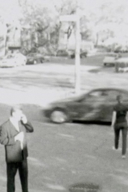 Tout à fait gris Poster