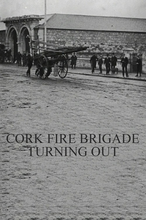 Cork Fire Brigade Turning Out Poster