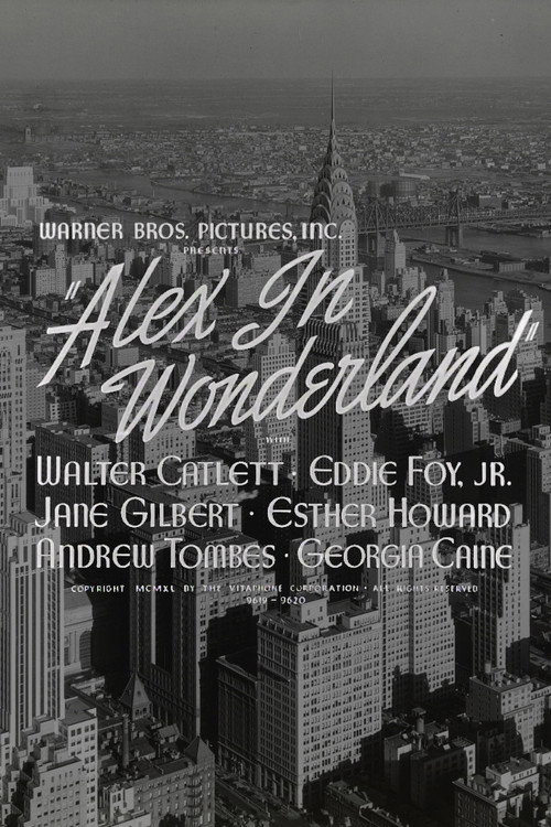 Alex in Wonderland Poster