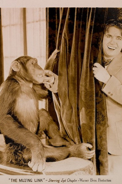 The Missing Link Poster