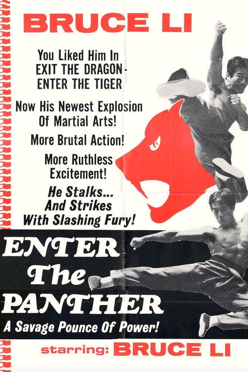 Enter the Panther Poster