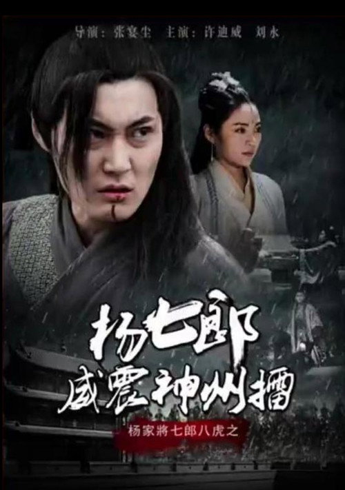 杨七郎威震神州擂 Poster