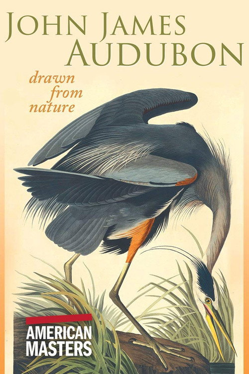 John James Audubon: Drawn From Nature Poster