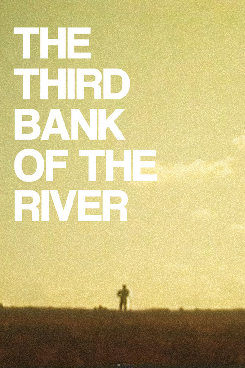 The Third Bank of the River Poster