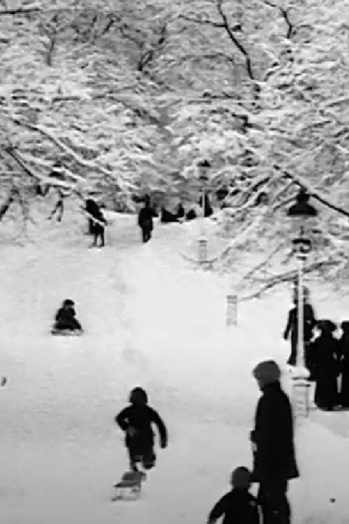 A Winter in Stockholm Poster