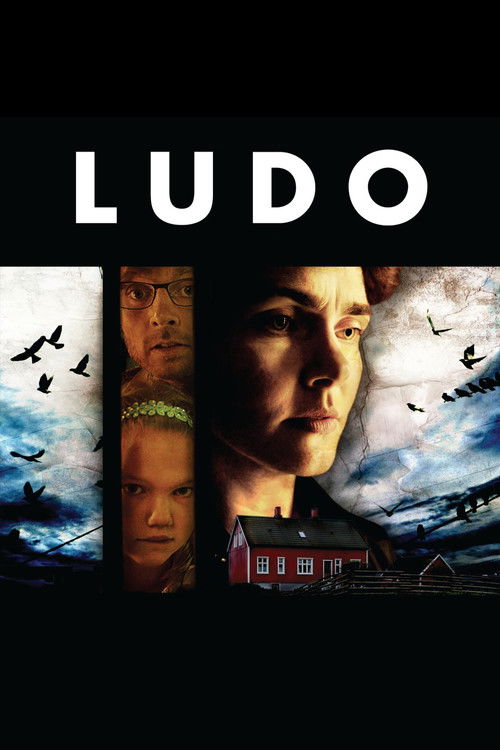 Ludo Poster