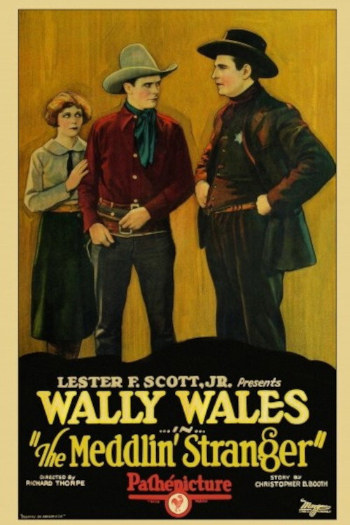 The Meddlin' Stranger Poster