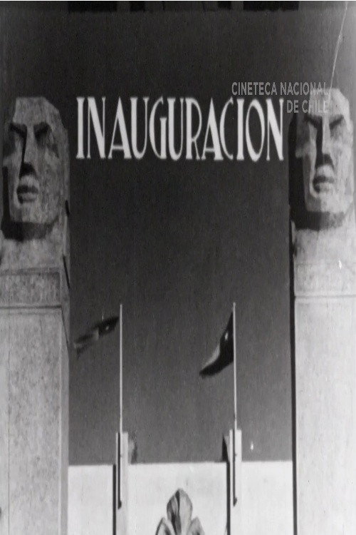 The National Stadium Poster