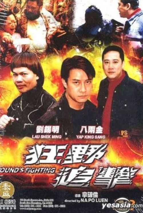 Wound's Fighting Poster