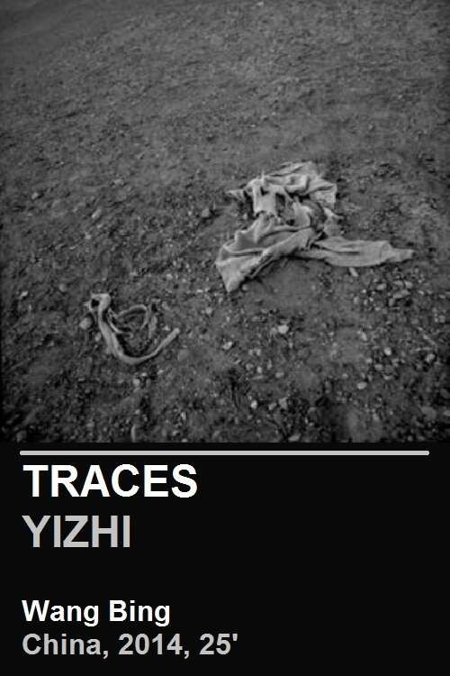 Traces Poster