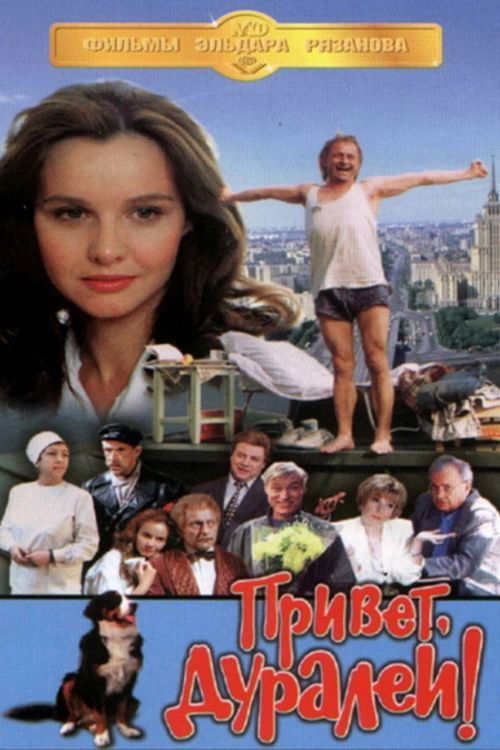 Hello, Fools! Poster