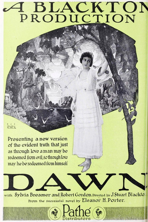 Dawn Poster