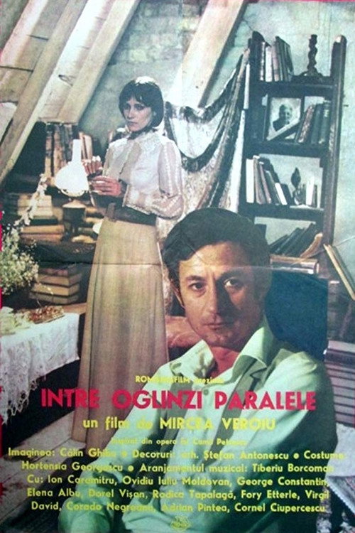 Between parallel mirrors Poster