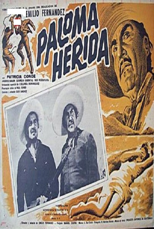 Wounded Dove Poster