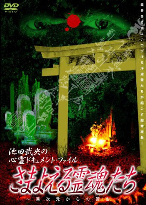 Samayoeru Reikon-tachi Poster