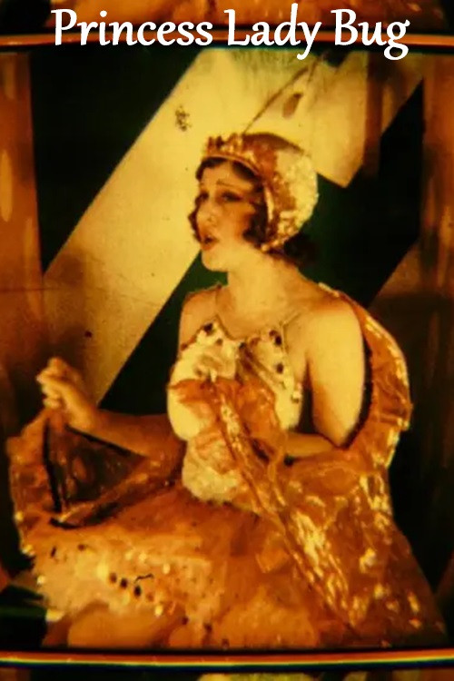 Princess Lady Bug Poster