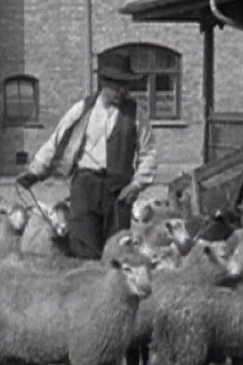 Landbrug i Danmark Poster