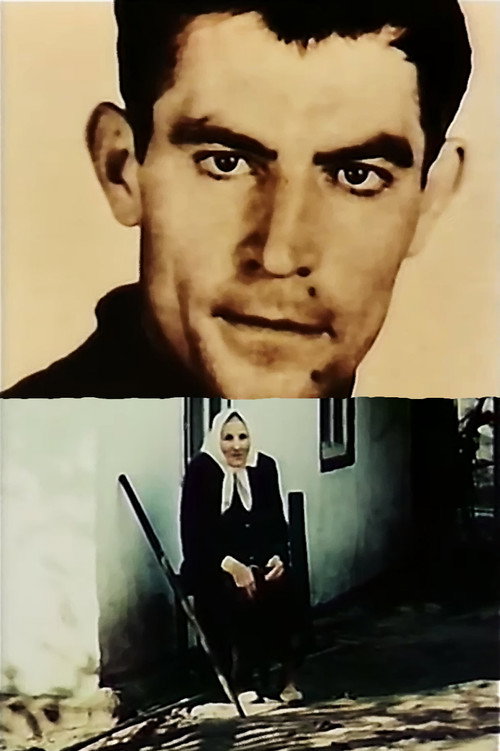 Come back to me, my memory Poster