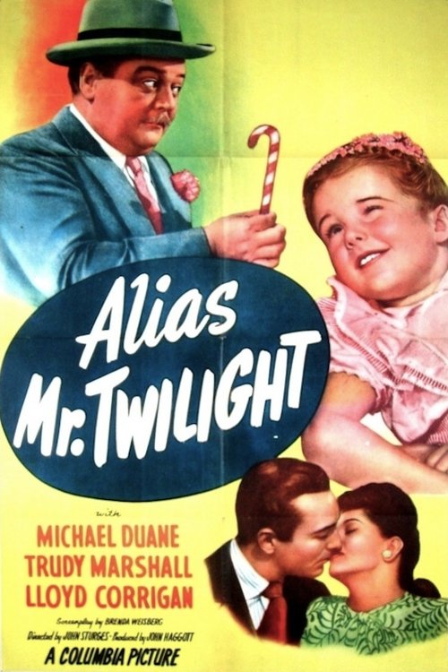 Alias Mr. Twilight Poster