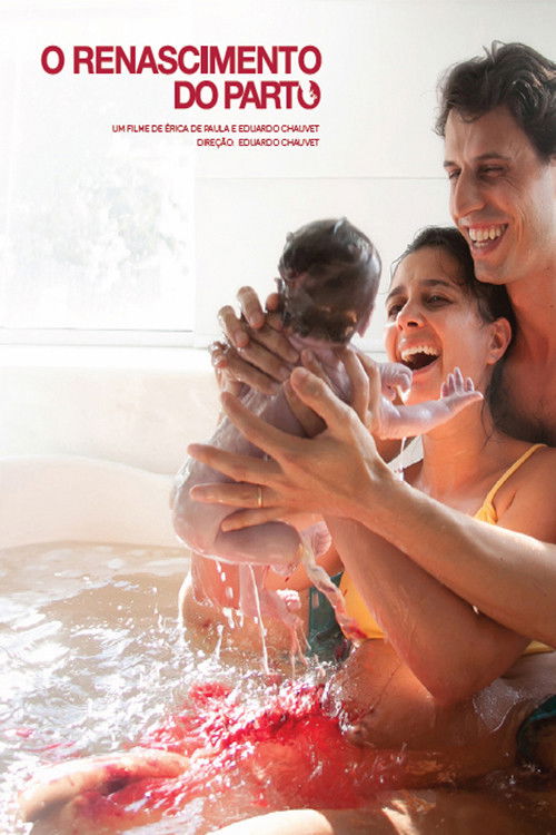 The Birth Reborn Poster