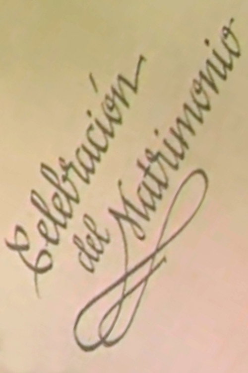 Celebración del Matrimonio Poster