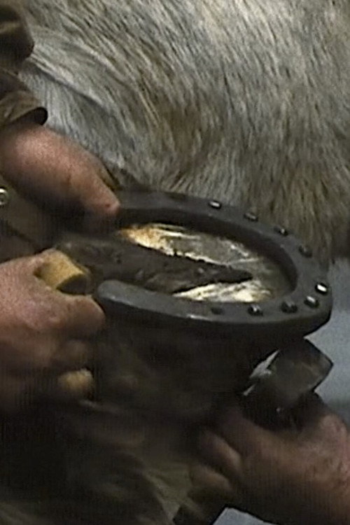 The Farrier Poster