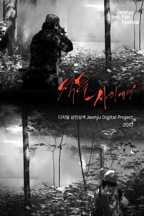 Among Enemies: Jeonju Digital Project 2010 Poster