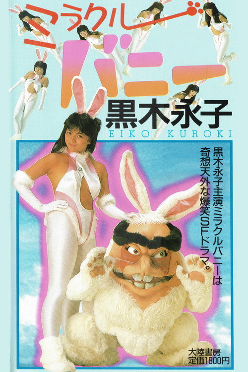 Miracle Bunny Poster