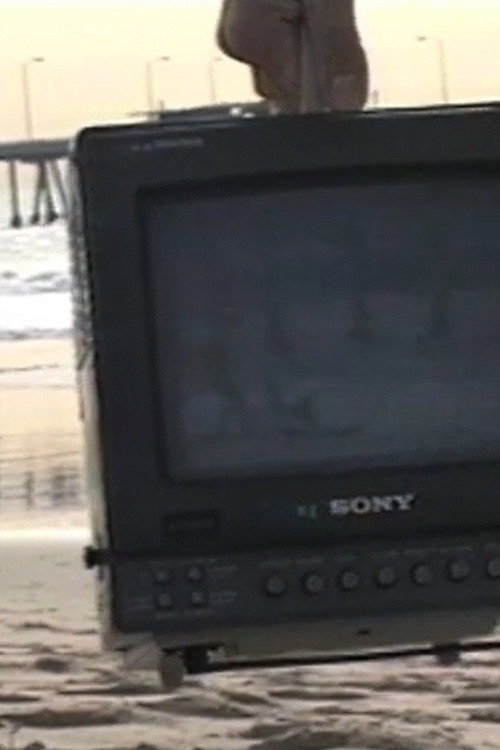 Venice in Berlin in Venice Poster