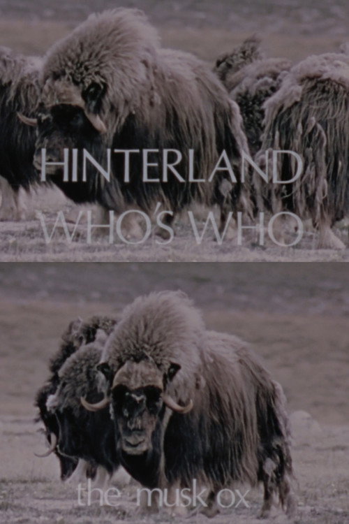 Hinterland Who's Who: The Musk Ox Poster