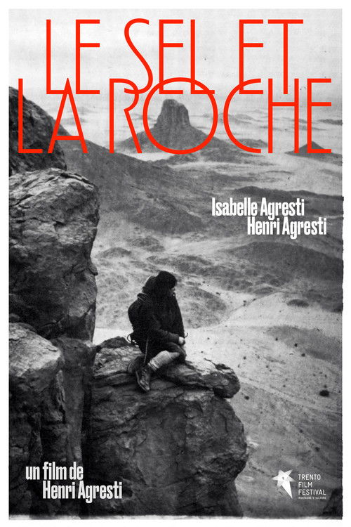 Salt and Rock Poster