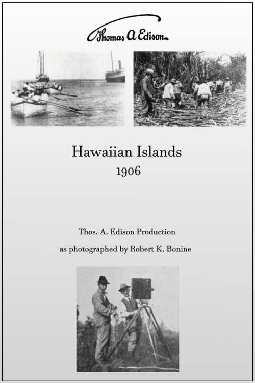 Hawaiian Islands Poster