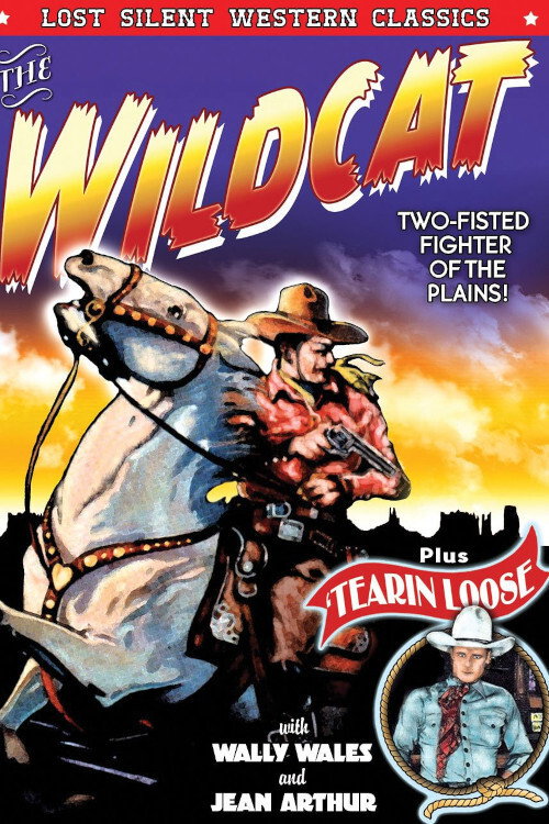 Tearin' Loose Poster