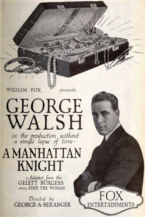 A Manhattan Knight Poster