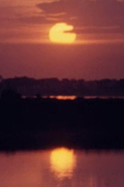 Cantique du soleil Poster
