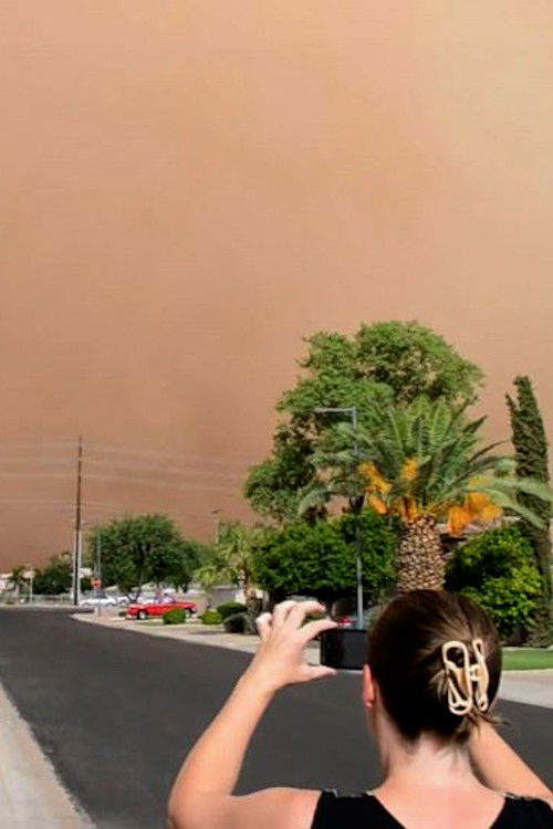 Panic in Nowhere Poster