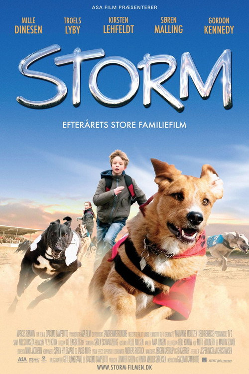 Storm Poster