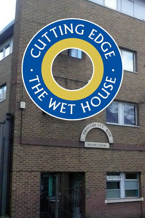 The Wet House Poster