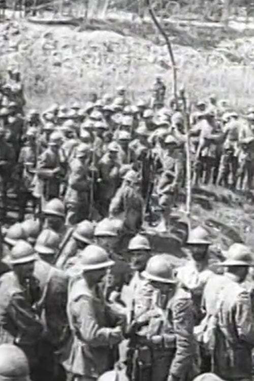 Montaggio di riprese dal vero Poster