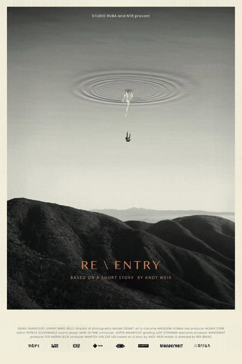 Re \ Entry Poster